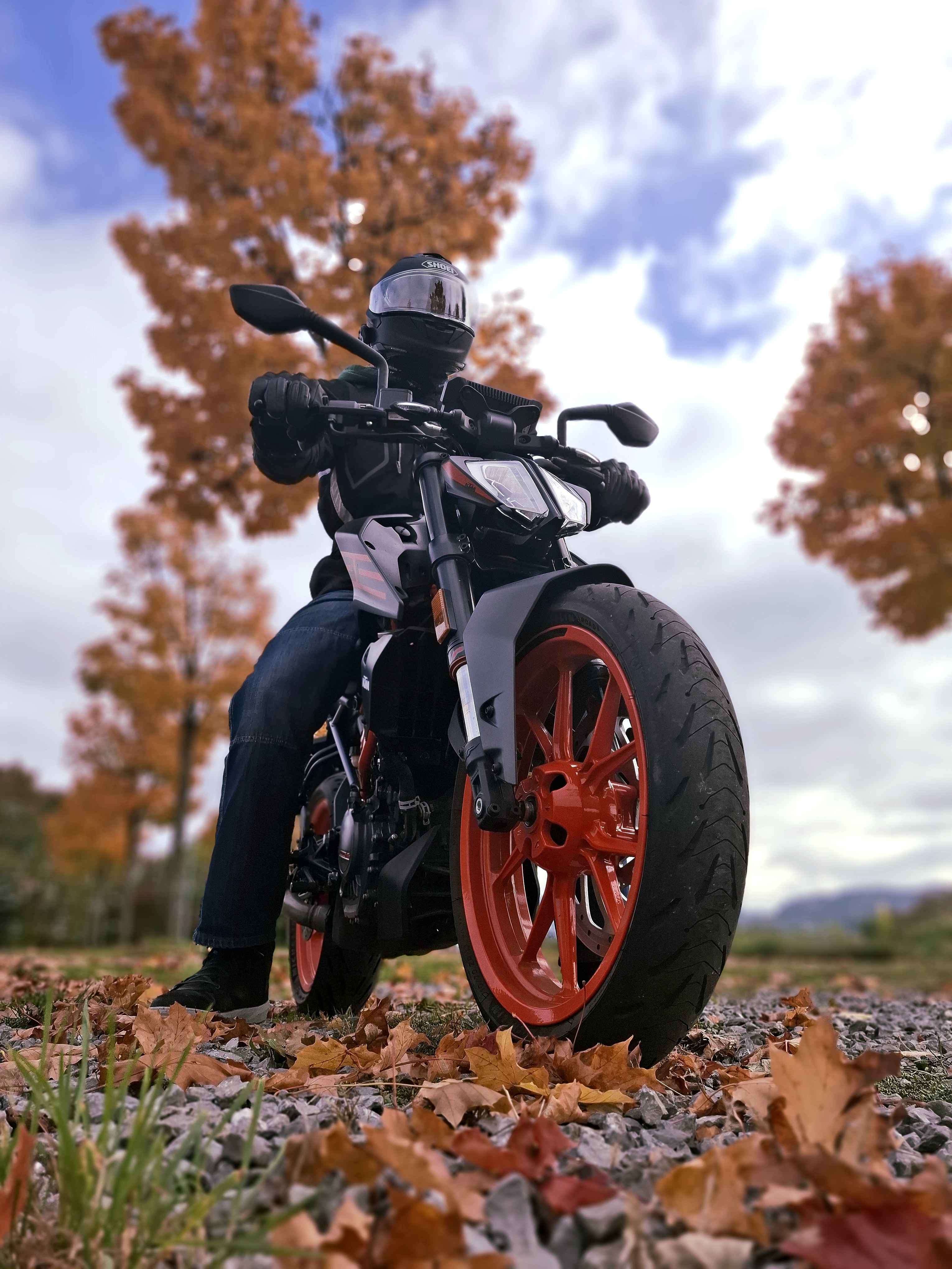 Bike von @Kylbug