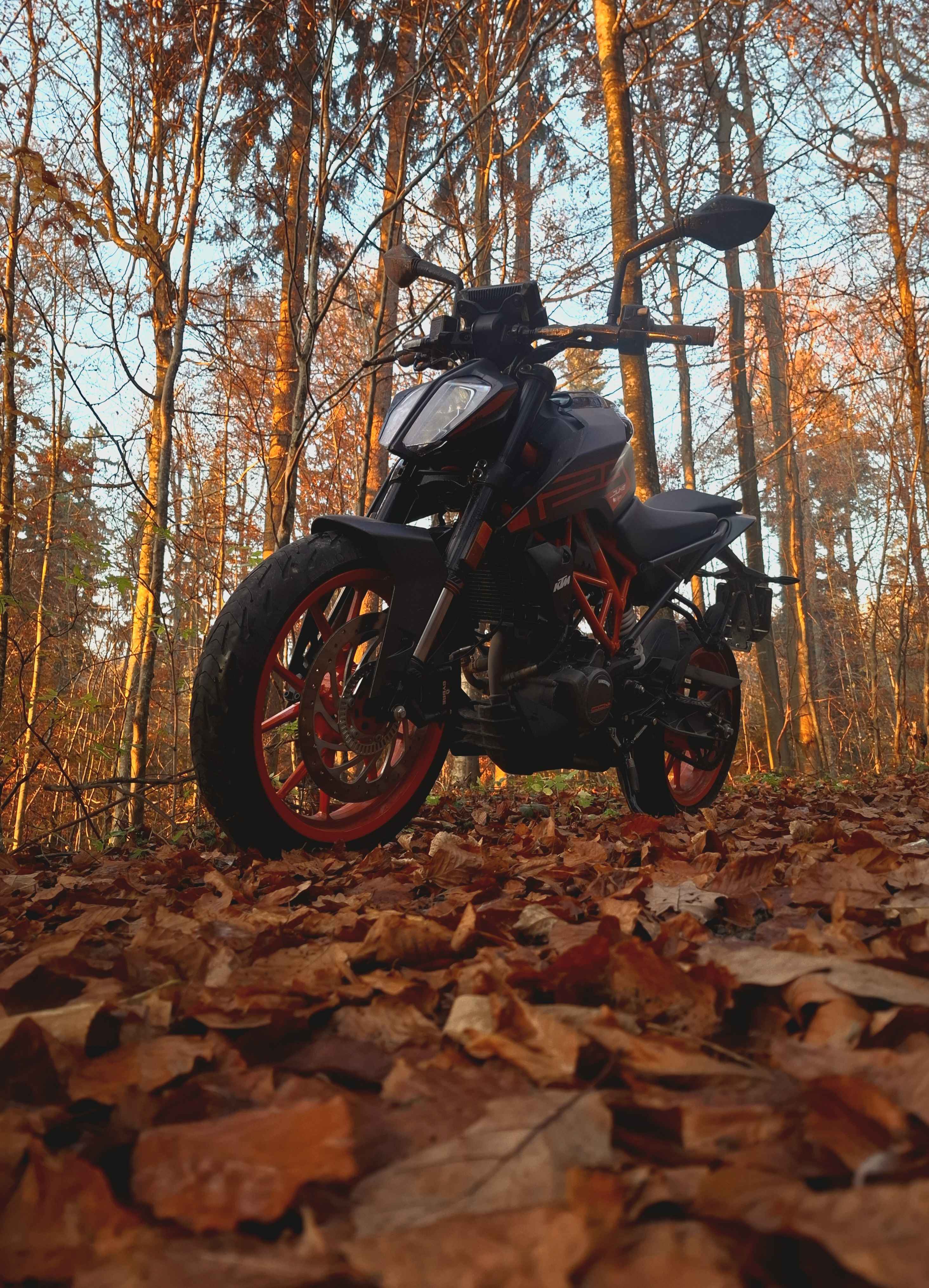 Bike von @Kylbug