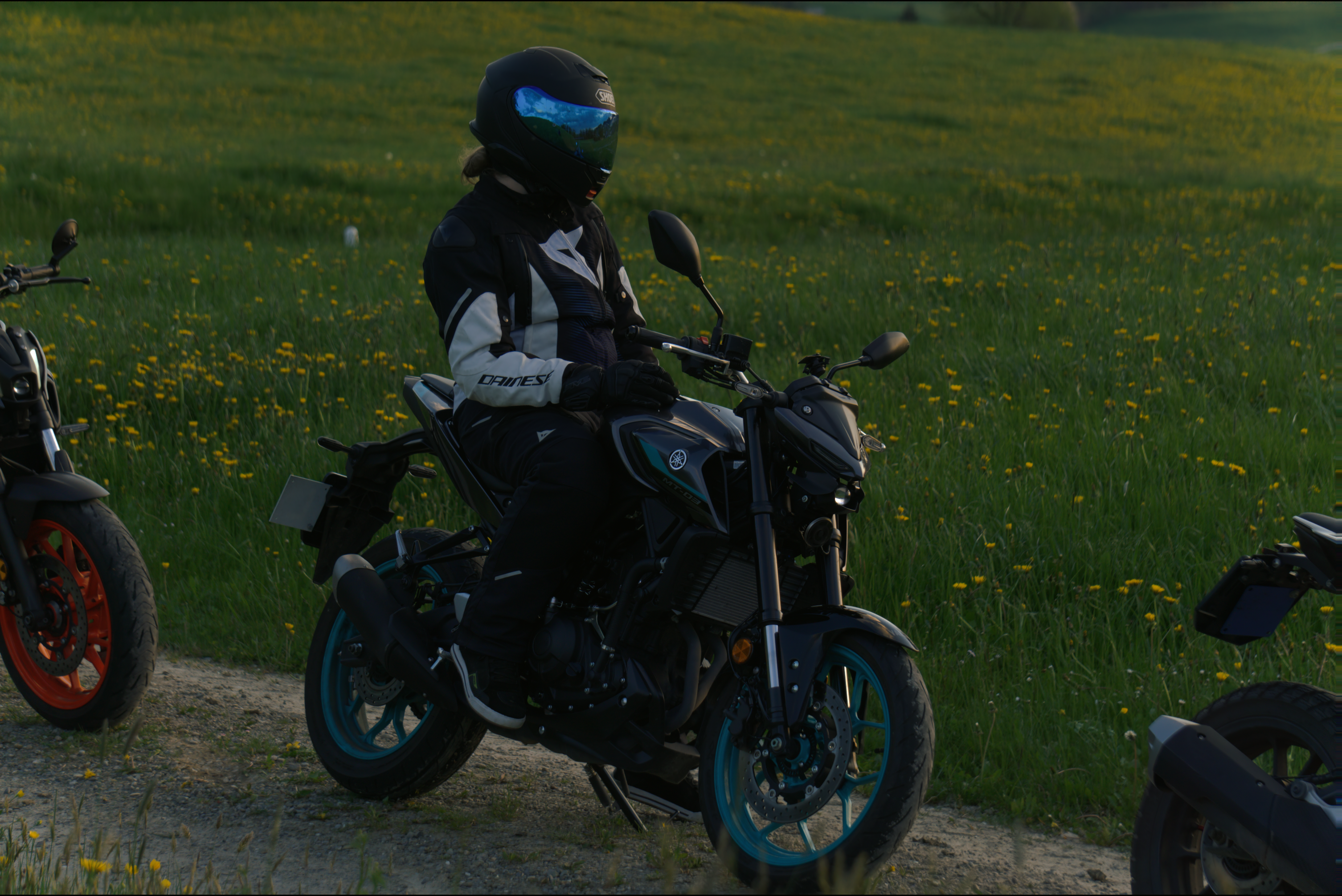 Bike von @Nikibudd