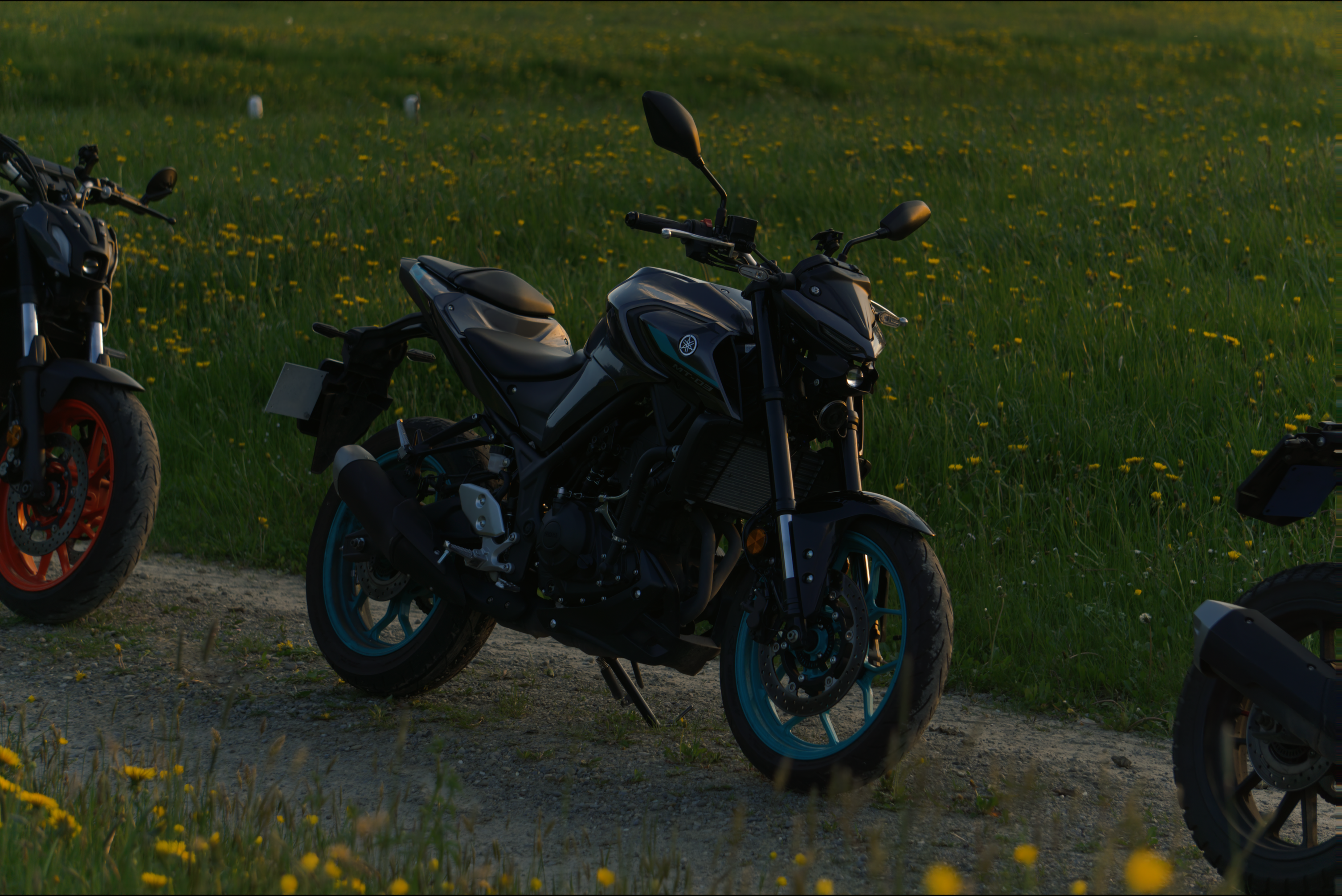 Bike von @Nikibudd